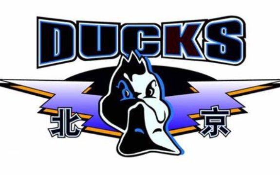 kaiyun sports-媒体人：张云松正式从首钢副总经理升任为俱乐部总经理