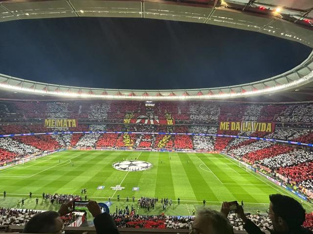 WechatIMG7.jpg