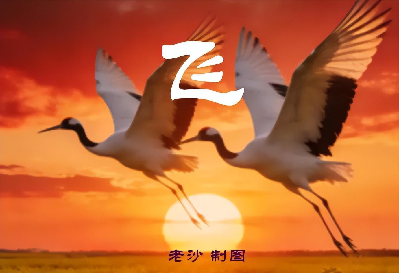 开云平台-4.28股市早8点丨英伟达疯了谷歌飙了